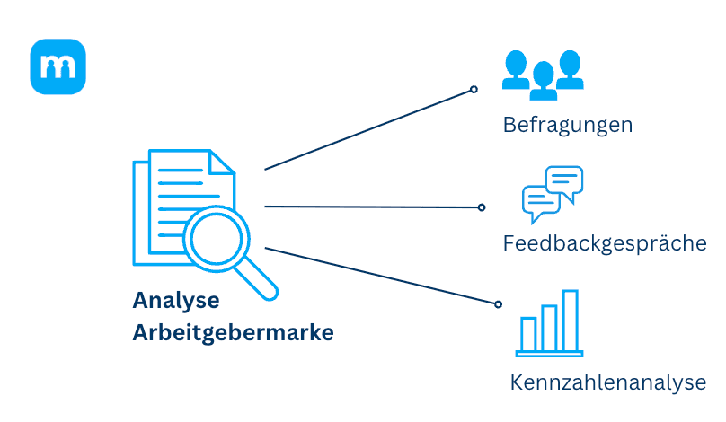 Grafik: Analyse der Arbeitgebermarke über Befragungen, Feedbackgespräche und Kennzahlenanalyse