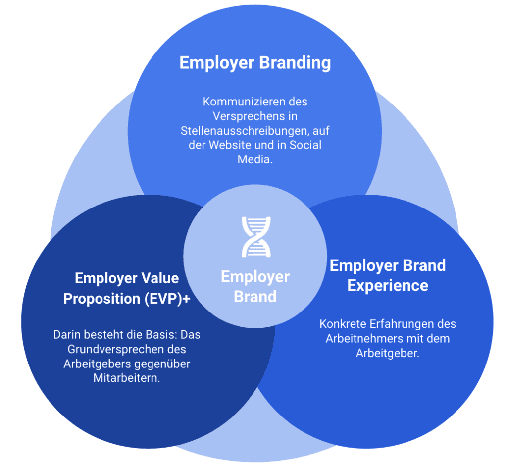Grafik: Employer Brand im Zentrum von Employer Value Proposition, Employer Branding und Employer Brand Experience